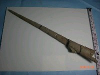 藏品(魟魚尾刺化石)的圖片